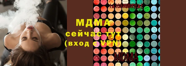 хмурый Гусь-Хрустальный