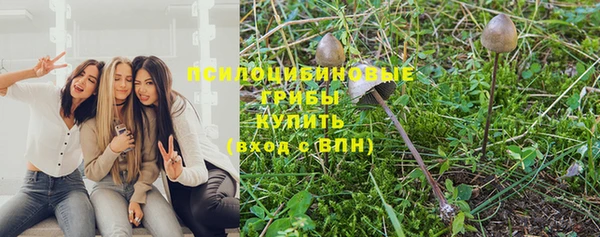 apvp Гусиноозёрск