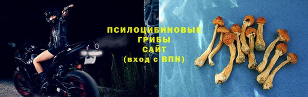 COCAINE Гусев