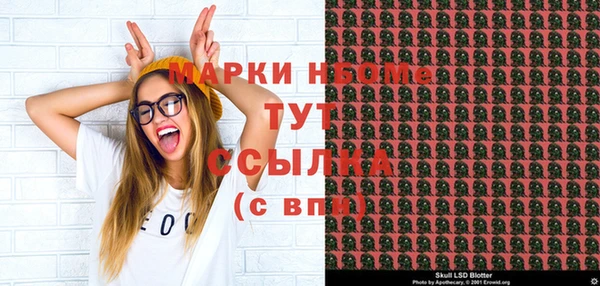хмурый Гусь-Хрустальный