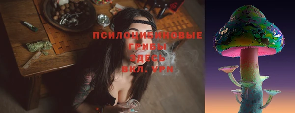 apvp Гусиноозёрск