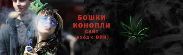 apvp Гусиноозёрск