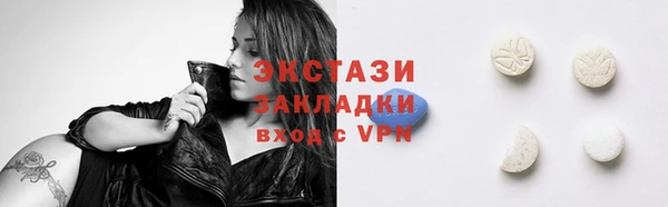 хмурый Гусь-Хрустальный