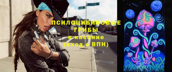 хмурый Гусь-Хрустальный
