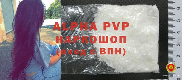 apvp Гусиноозёрск