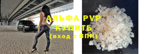 хмурый Гусь-Хрустальный