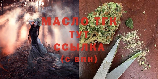 хмурый Гусь-Хрустальный